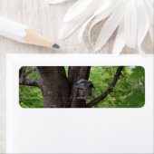 Suchen nach einem Biss, um zu essen (Insitu)