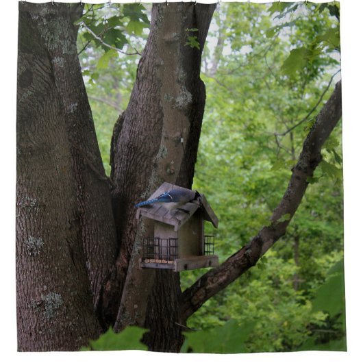 Suchen nach einem Biss, um zu essen Duschvorhang (Vorderseite)