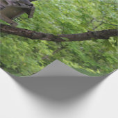 Suchen nach einem Biss, um zu essen Geschenkpapier (Ecke)