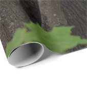 Suchen nach einem Biss, um zu essen Geschenkpapier (Rolleneckpunkt)