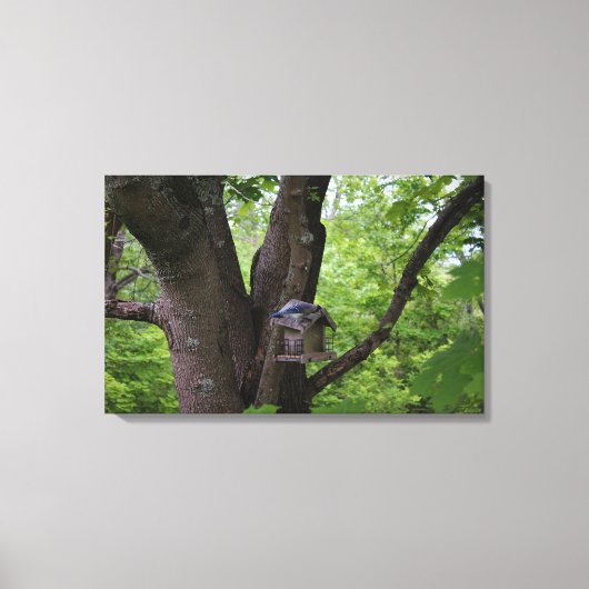 Suchen nach einem Biss, um zu essen Leinwanddruck (Vorderseite)