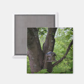 Suchen nach einem Biss, um zu essen Magnet (Vorderseite/Rückseite)