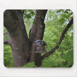 Suchen nach einem Biss, um zu essen Mousepad