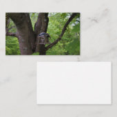 Suchen nach einem Biss, um zu essen Visitenkarte (Vorne/Hinten)