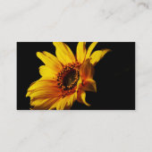 Suchen nach Licht Visitenkarte (Rückseite)