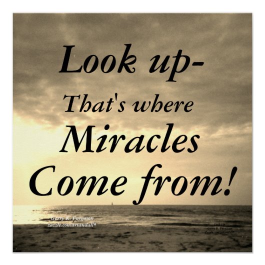 SUCHEN POSTER (Vorderseite)