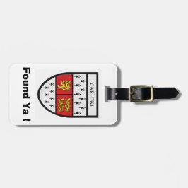 Suchen Sie die Personalisierte Carlow Landkreis ID Gepäckanhänger