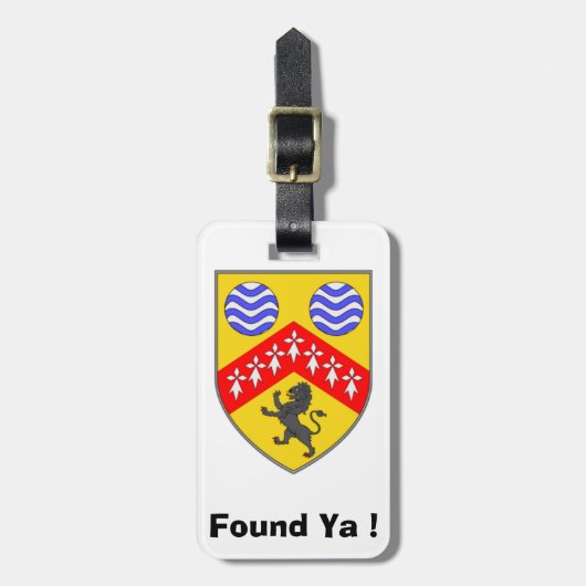 Suchen Sie die Personalisierte Laois Landkreis ID  Gepäckanhänger (Vorderseite vertikal)