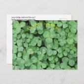 Suchen Sie die vier Blattklappen Postkarte (Vorne/Hinten)