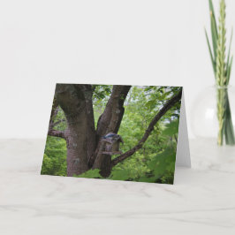 Suchen Sie nach einem kleinen Hunger? Karte