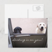 Suchen Sie nach Ihnen! Postkarte (Vorne/Hinten)
