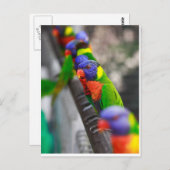 Suchen Sie nach mir? Postkarte (Vorne/Hinten)