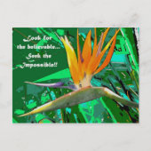 Suchen Sie nach... Postkarte (Vorderseite)