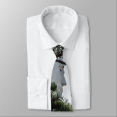 Suchen und finden Sie mich Neck Tie Krawatte (Gebunden)