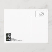 Suchen und Sie werden das Denken über Ihre Postkar Postkarte (Rückseite)