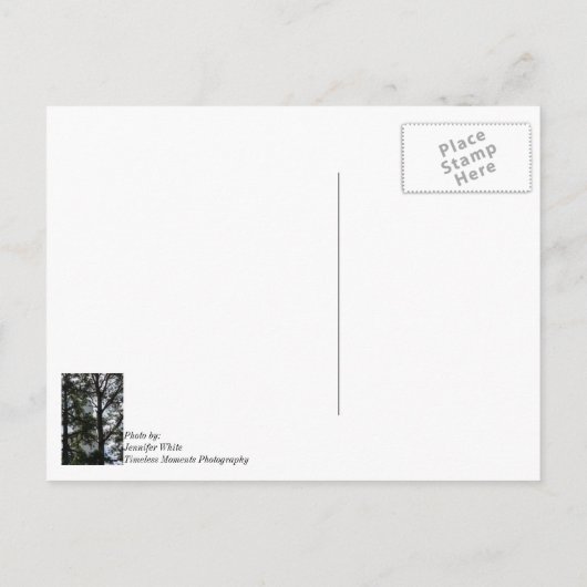 Suchen und Sie werden das Denken über Ihre Postkar Postkarte (Rückseite)