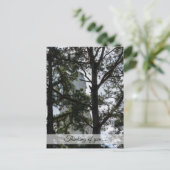 Suchen und Sie werden das Denken über Ihre Postkar Postkarte (Stehend Vorderseite)