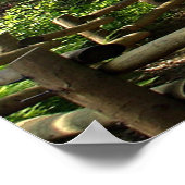 Suchen und Sie werden finden Poster (Ecke)