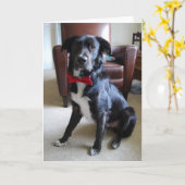 Suchfeld Karte (Gelbe Blume)