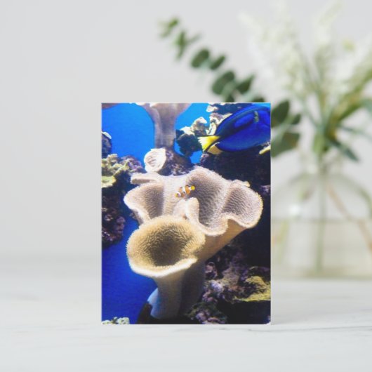 Suchnummer Postkarte (Stehend Vorderseite)