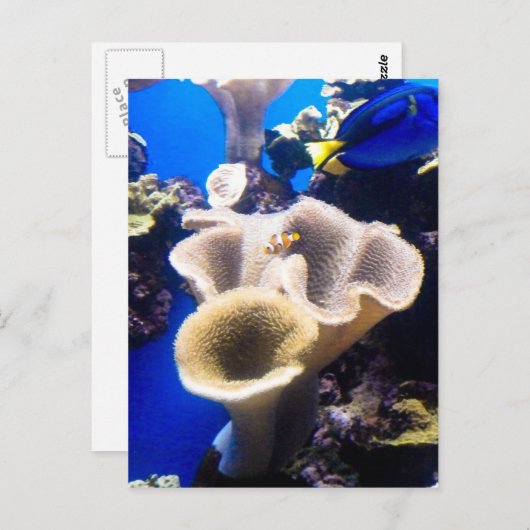 Suchnummer Postkarte (Vorne/Hinten)