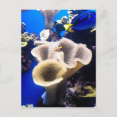 Suchnummer Postkarte (Vorderseite)