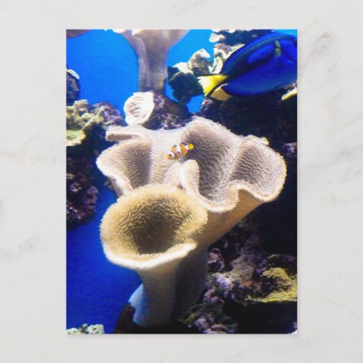 Suchnummer Postkarte (Vorderseite)