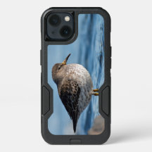 Suchrock Sandpiper
