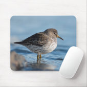 Suchrock Sandpiper Mousepad (Mit Mouse)