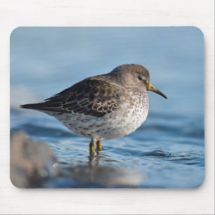 Suchrock Sandpiper Mousepad