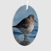Suchrock Sandpiper Ornament (Vorderseite)
