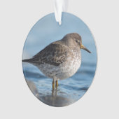 Suchrock Sandpiper Ornament (Vorderseite)
