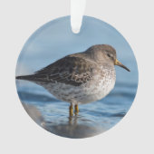Suchrock Sandpiper Ornament (Vorderseite)