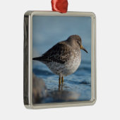 Suchrock Sandpiper Ornament Aus Metall (Rechts)