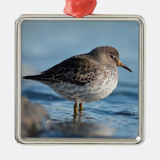 Suchrock Sandpiper Ornament Aus Metall (Vorne)