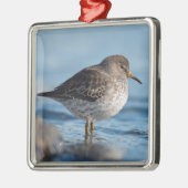 Suchrock Sandpiper Ornament Aus Metall (Links)