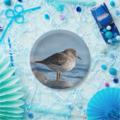 Suchrock Sandpiper Pappteller (Party)