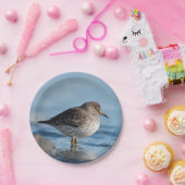 Suchrock Sandpiper Pappteller (Party)