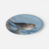 Suchrock Sandpiper Pappteller (Schrägansicht)