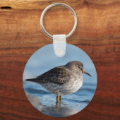 Suchrock Sandpiper Schlüsselanhänger (Vorderseite)