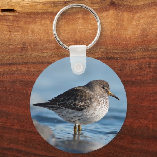 Suchrock Sandpiper Schlüsselanhänger (Vorderseite)