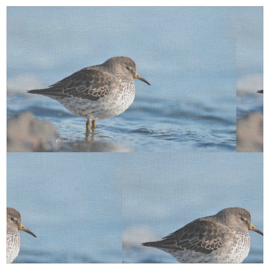 Suchrock Sandpiper Stoff (Nahaufnahme)