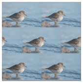 Suchrock Sandpiper Stoff (Muster)