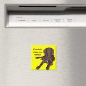 Sucht/Paare aus Magnet (In Situ (Geschirrspüler))
