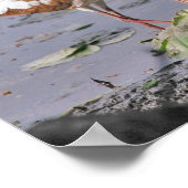 Sucht zuerst das Reich der Gottskriptur Poster (Ecke)