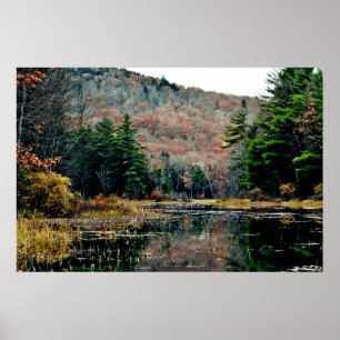 Suchvorgang u. Entdeckungs-Plakat Poster