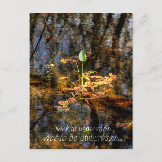 Suchvorgang zum zu verstehen, verstandene postkarte (Vorderseite)