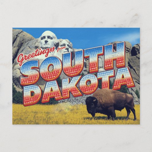 Süd-Dakota Mount Rushmore Bison Postkarte (Vorderseite)
