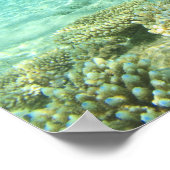Süd-Huvadhoo-Atoll, Südmalediven, Indien Poster (Ecke)