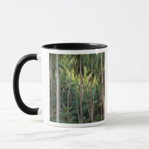 Süd-Pazifik, Französisch-Polynesien, Bora Bora. Tasse